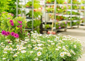 Więcej ulg dla rodzin z Kartą 3+