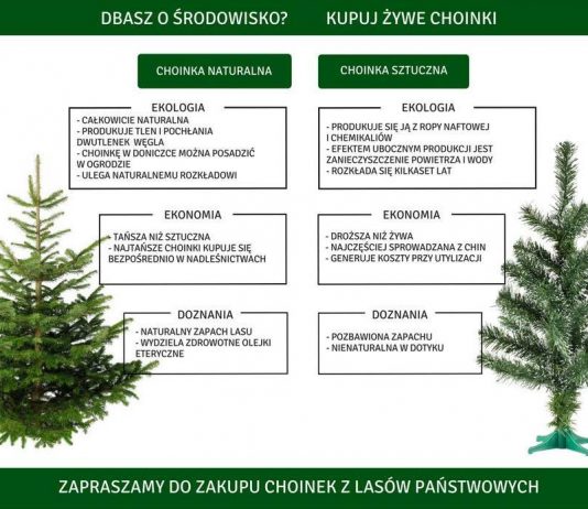 Nadleśnictwo Wyszków informuje – ruszyła sprzedaż choinek Choinki Wyszków nadleśnictwo