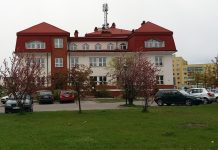 NIP na paragonie Urząd Skarbowy