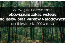 Zakaz wstępu do lasu. Tymczasowo od 3 do 11 kwietnia. zakaz wstępu do lasu Wyszków