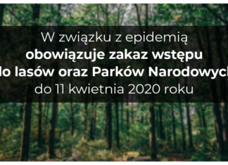 Zakaz wstępu do lasu. Tymczasowo od 3 do 11 kwietnia. zakaz wstępu do lasu Wyszków