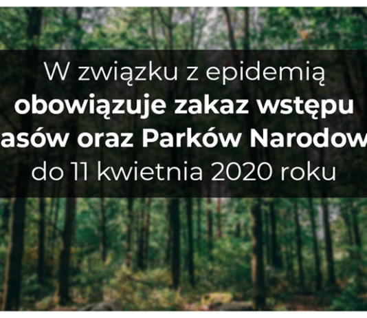 Zakaz wstępu do lasu. Tymczasowo od 3 do 11 kwietnia. zakaz wstępu do lasu Wyszków