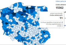 Sanepidy nie publikują już danych powiaty w Polsce mapa zakażeń COVID